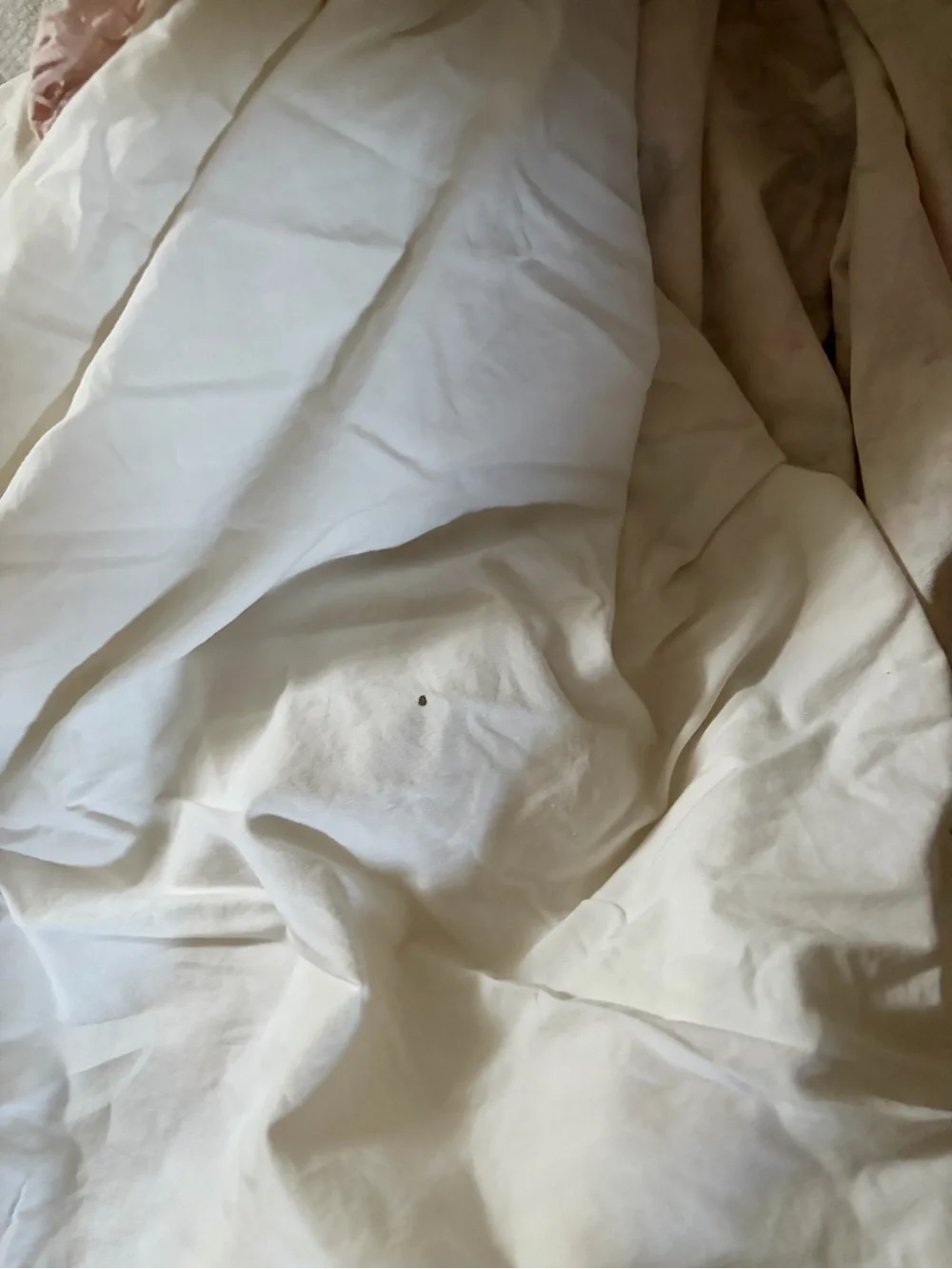 LoveShackFancy Dreamy Days Duvet Cover